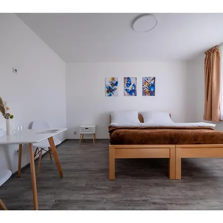 Habitación en casa particular V Panské Zahradě *
