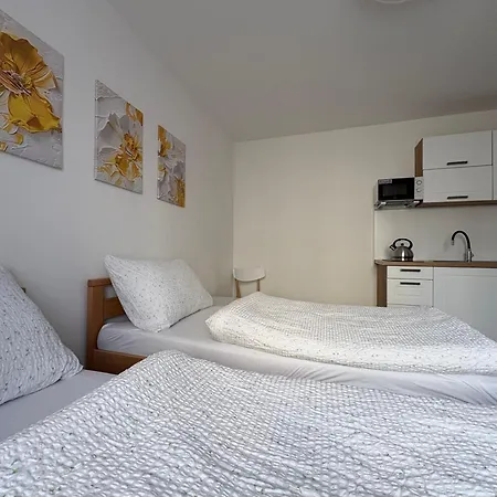 V Panské Zahradě Habitación en casa particular *